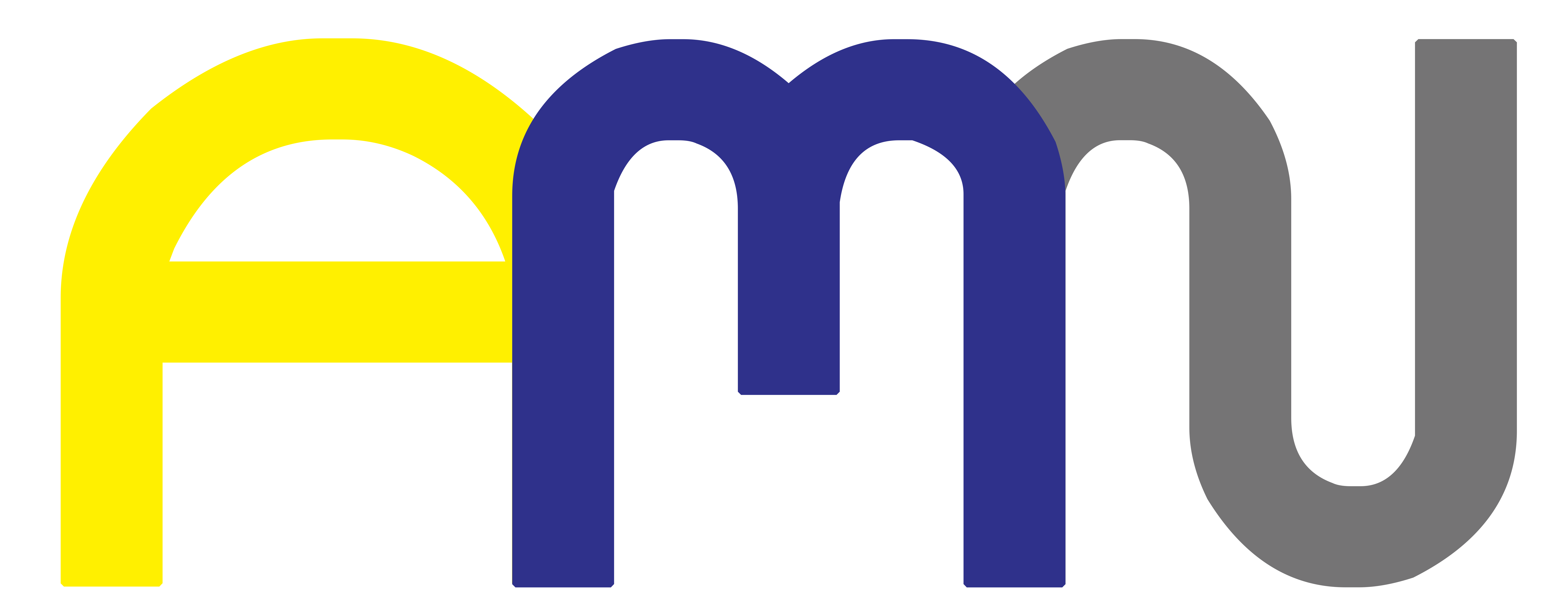 AMN Indonesia